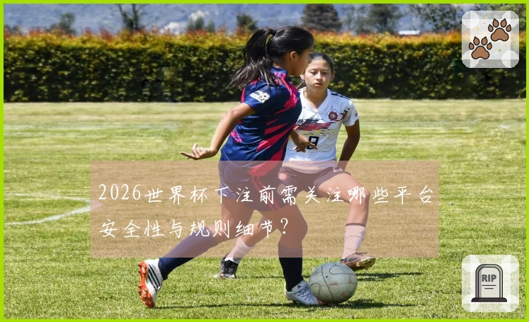 2026世界杯下注前需关注哪些平台安全性与规则细节？