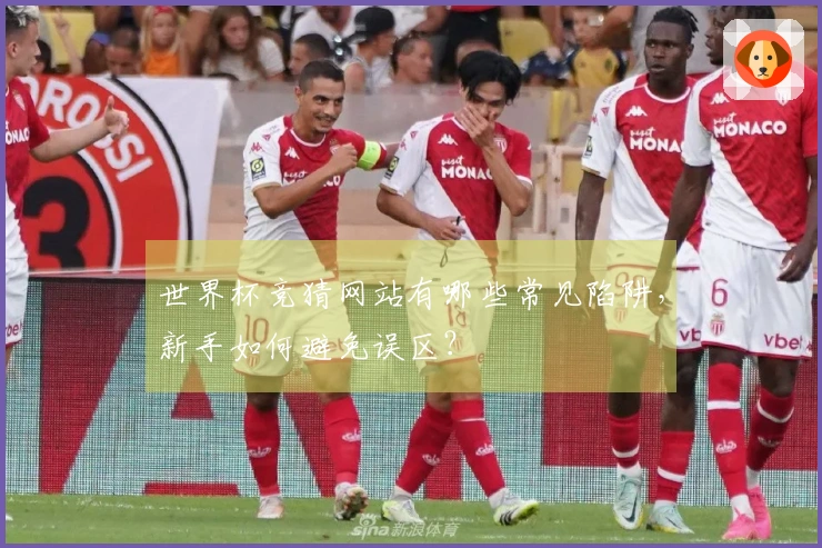 世界杯竞猜网站有哪些常见陷阱,新手如何避免误区?