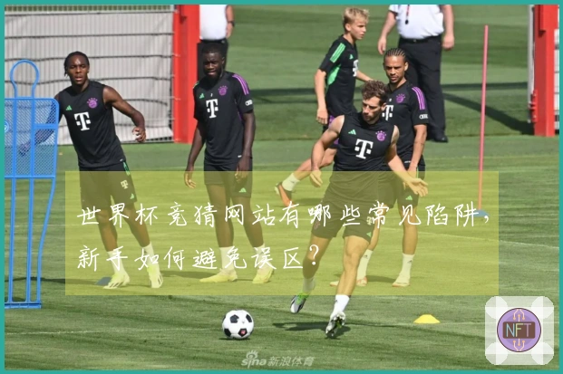 世界杯竞猜网站有哪些常见陷阱，新手如何避免误区？