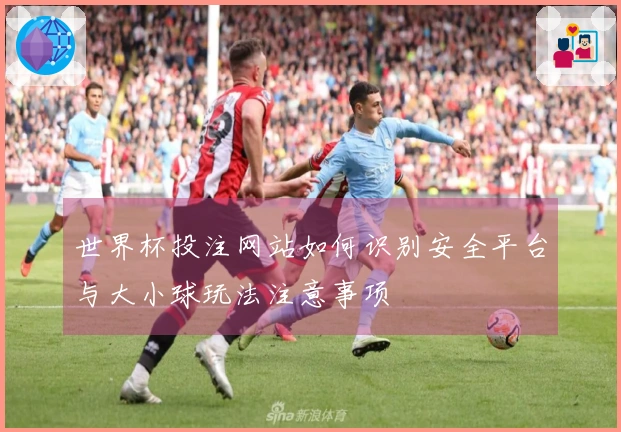 世界杯投注网站如何识别安全平台与大小球玩法注意事项
