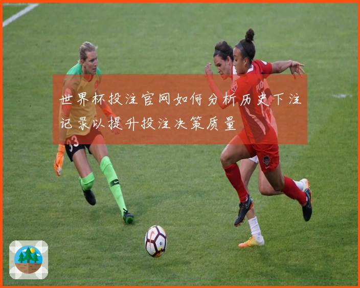 世界杯投注官网如何分析历史下注记录以提升投注决策质量