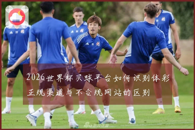 2026世界杯买球平台如何识别体彩正规渠道与不合规网站的区别