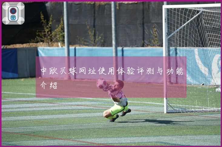 中欧买球网址使用体验评测与功能介绍