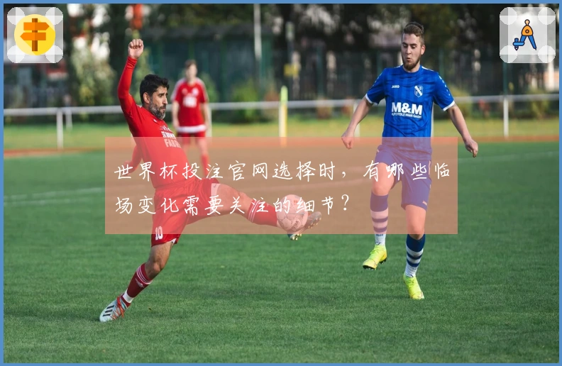 世界杯投注官网选择时，有哪些临场变化需要关注的细节？