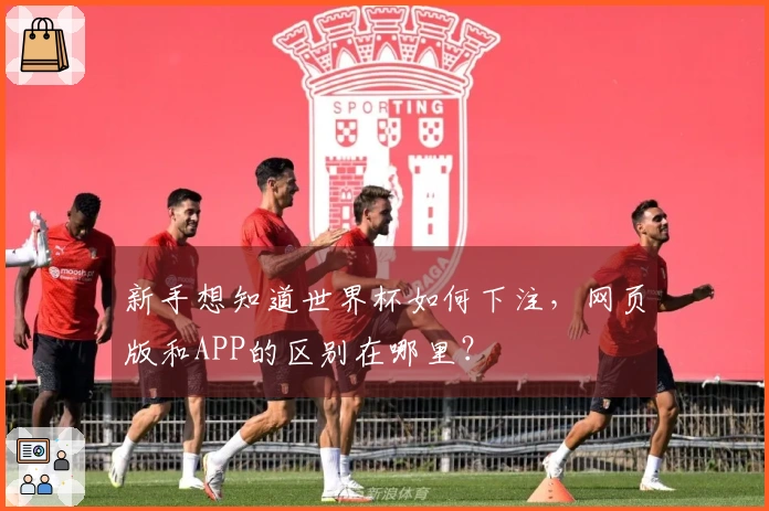 新手想知道世界杯如何下注，网页版和APP的区别在哪里？