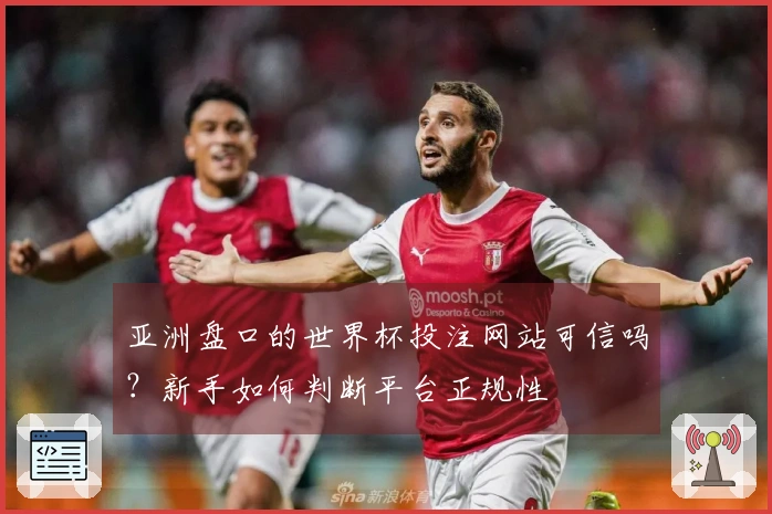 亚洲盘口的世界杯投注网站可信吗？新手如何判断平台正规性