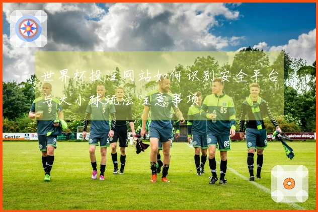 世界杯投注网站如何识别安全平台与大小球玩法注意事项